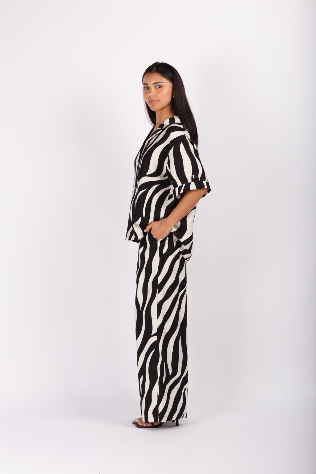 Zebra Print Set