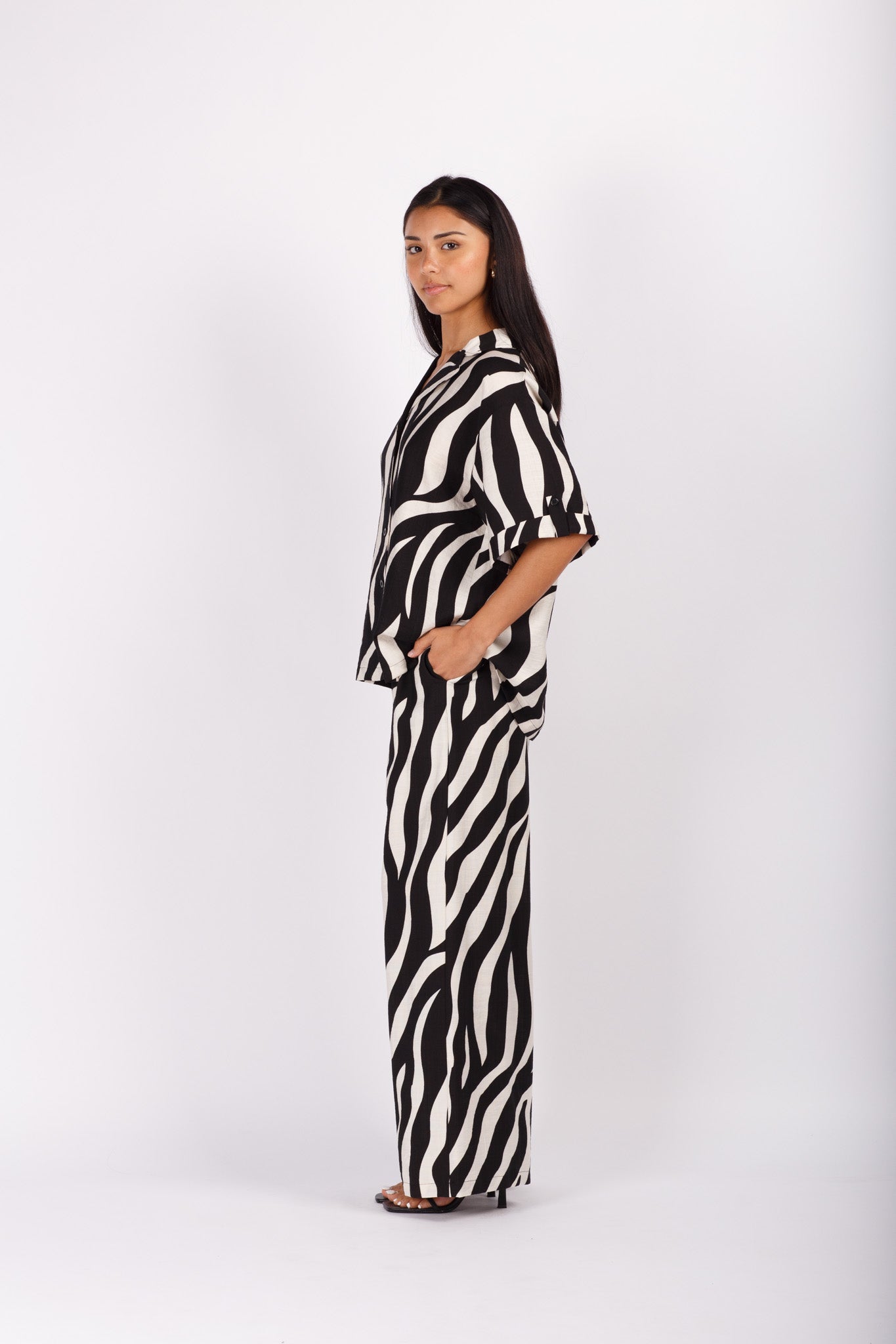 Zebra Print Set